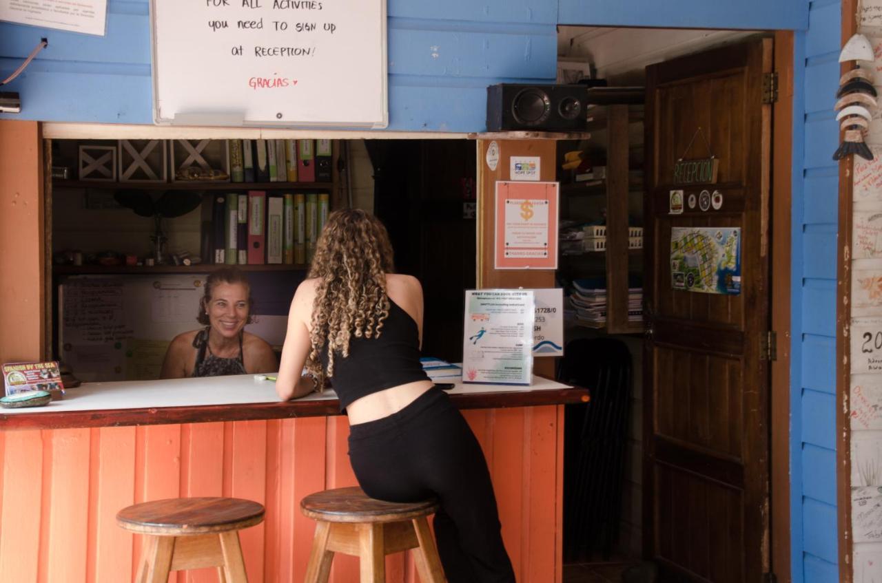 Spanish By The Sea - Bocas ボカス・タウン エクステリア 写真